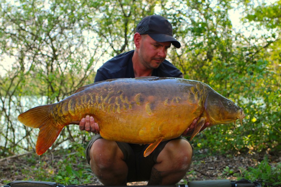 Geoff Longley, 41lb 8oz, Co's Point