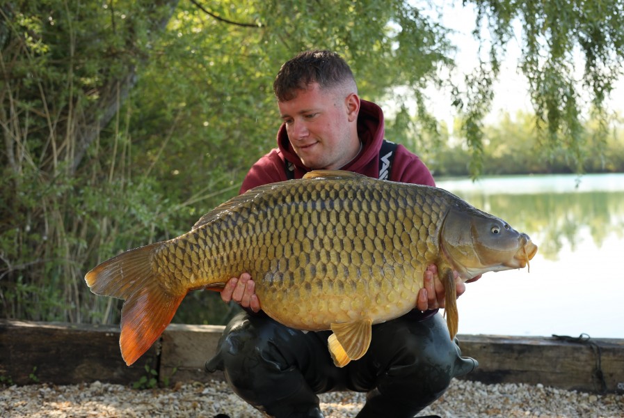 Aaron Fox - Alamo - 36lb 8oz - 25/04/2026