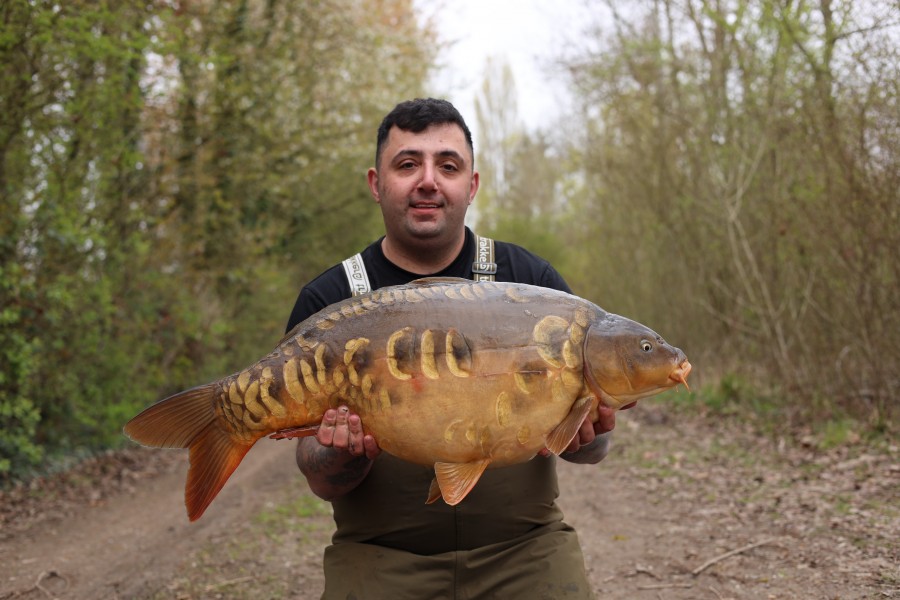 Ryan - 36lb 12oz - Bob's Beach - 28/03/2026