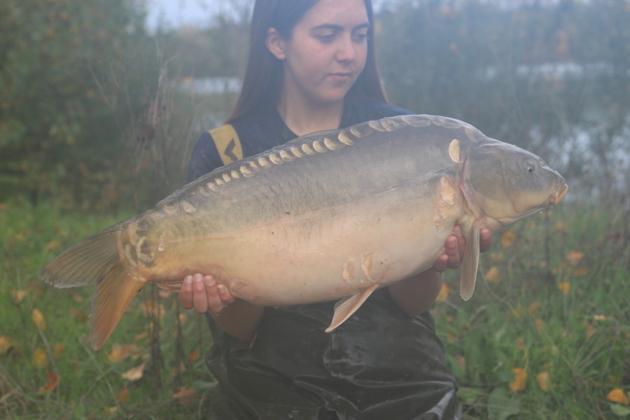 19lb