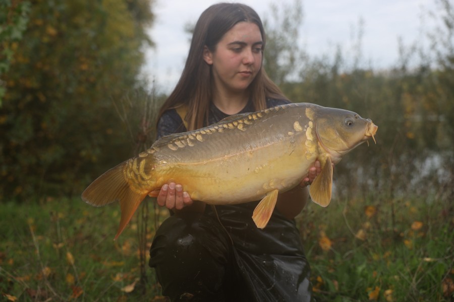 14lb