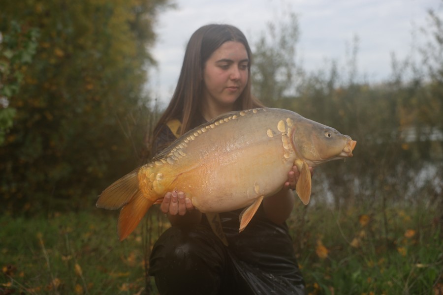 19lb