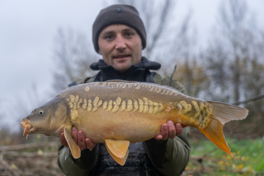 Stocked at 11lb 8oz