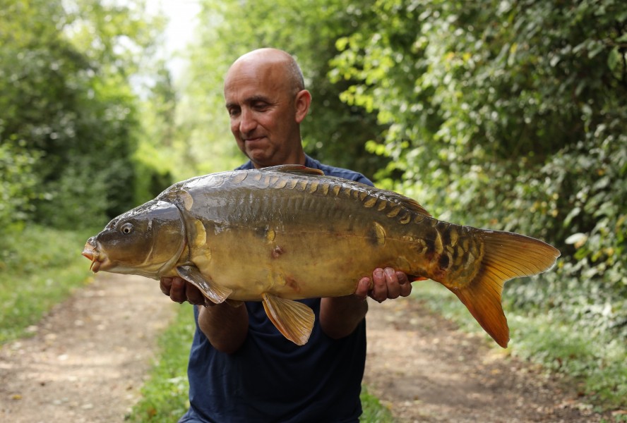 Chris Irving - Treeline - 19lb 76oz - 20/07/2024