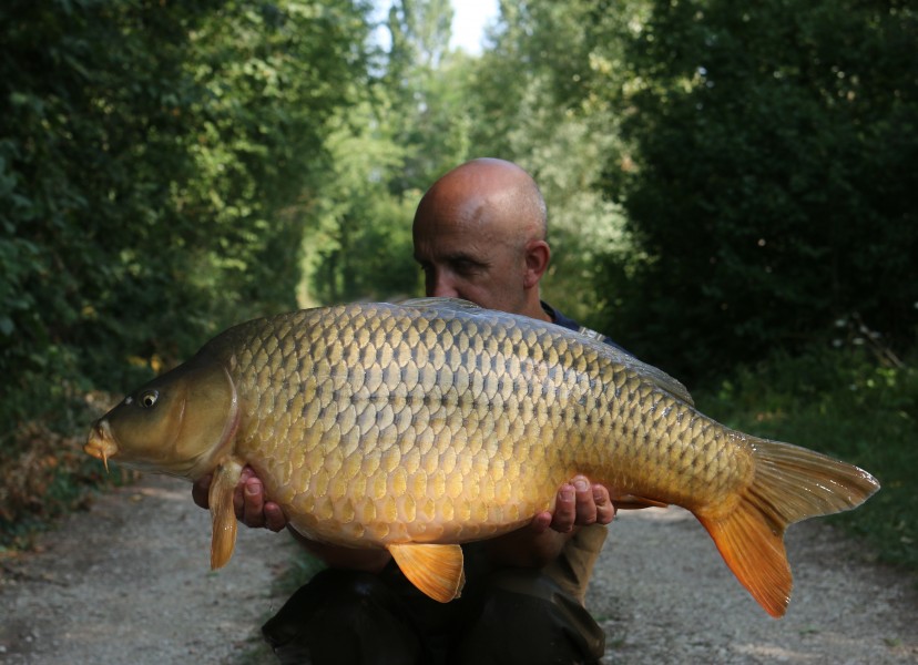 Chris Irving, 31lb 4oz, Bob's Beach, 15/07/2023