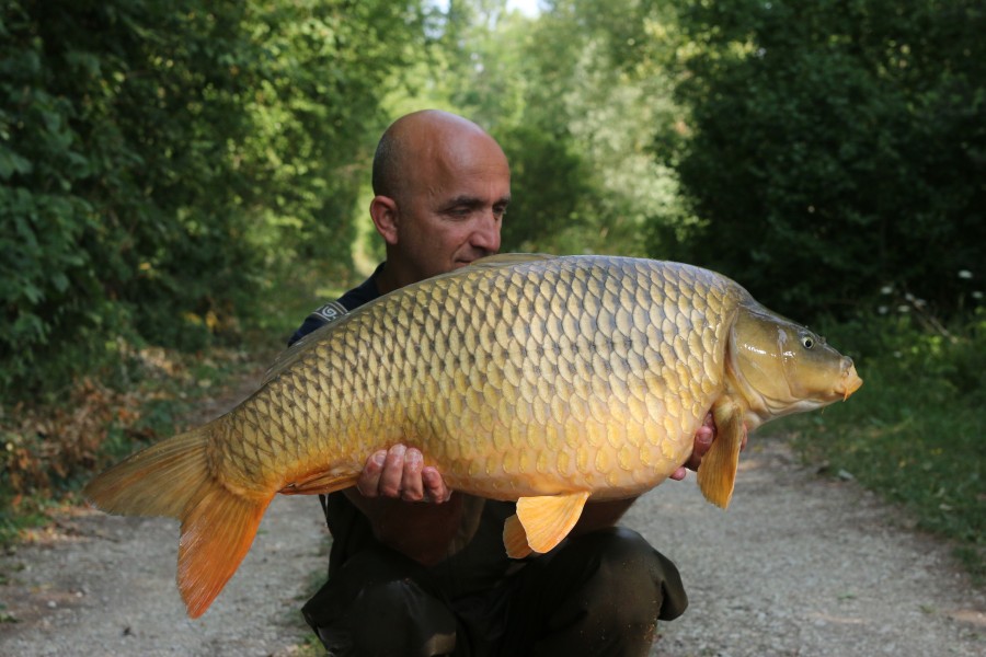 Chris Irving, 31lb 4oz, Bob's Beach, 15/07/2023