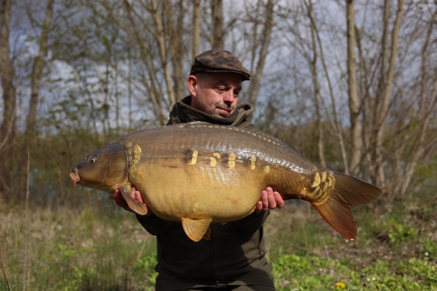 Nick Quilter - 33lb 8oz - Stock Pond - 28/03/2026