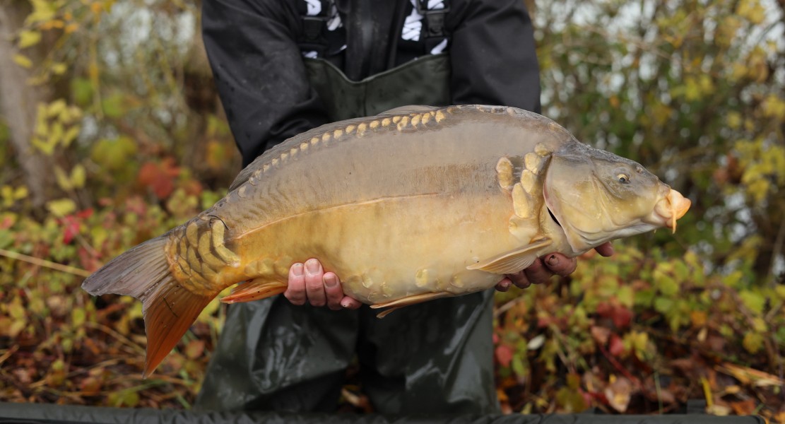 2023 - 13lb 12oz