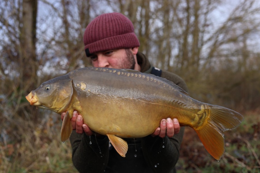 12lb - 22/12/2024