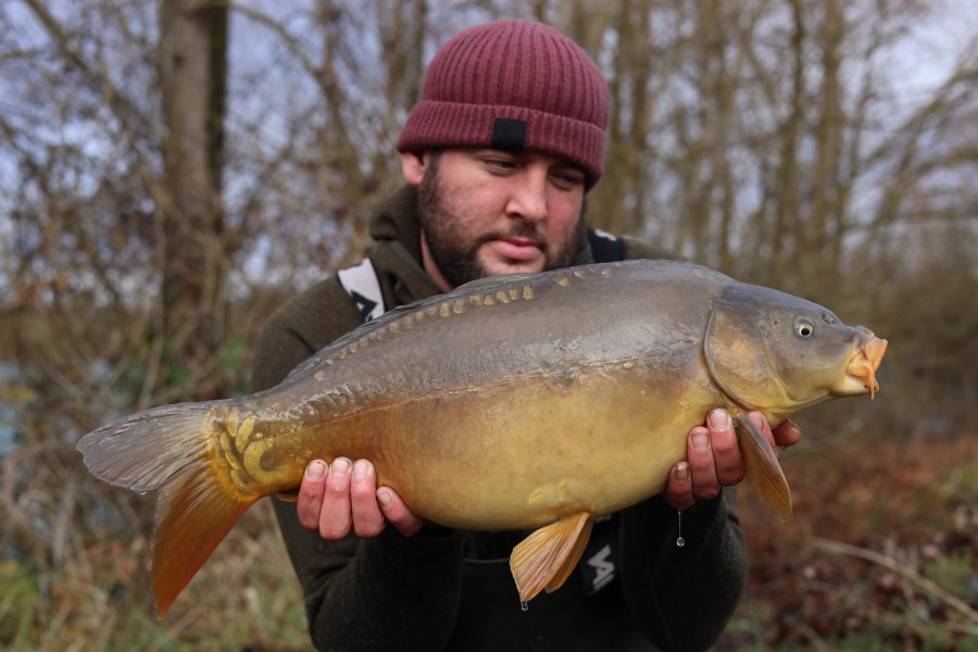 12lb - 22/12/2024