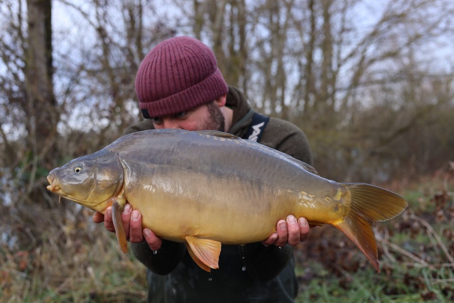 12lb - 22/12/2024