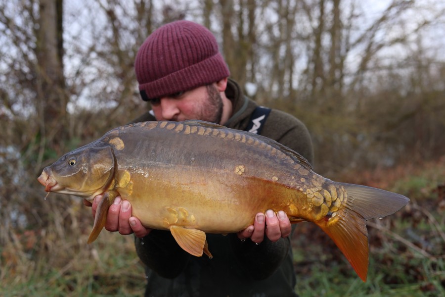 11lb 8oz - 22/12/2024