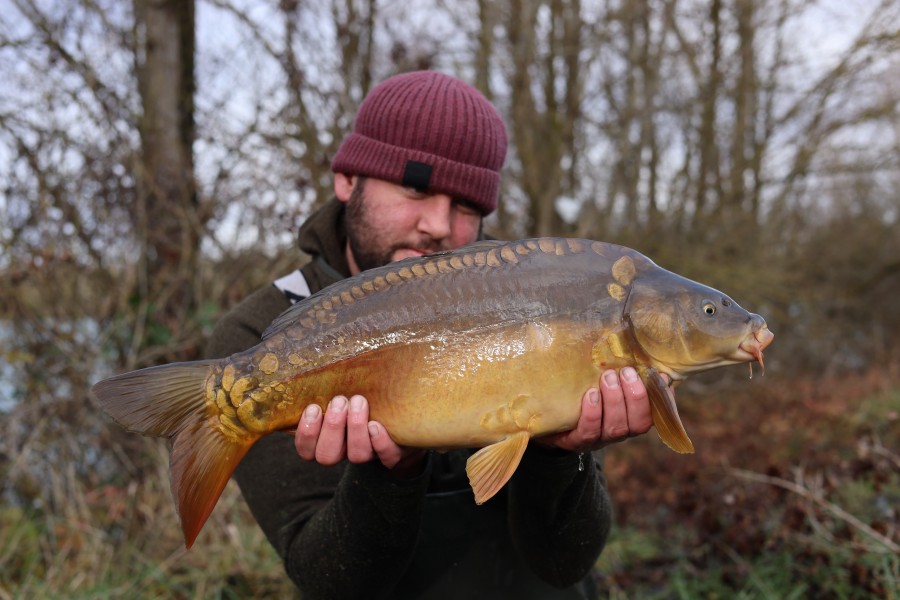 11lb 8oz - 22/12/2024