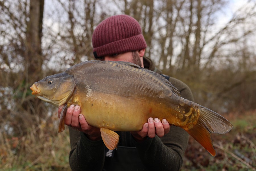 11lb 8oz - 22/12/2024