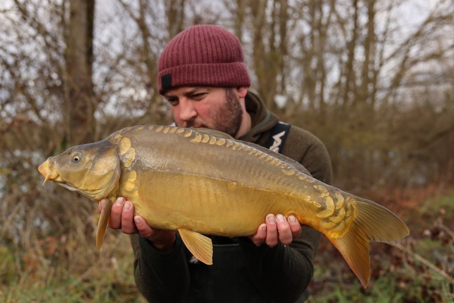 11lb 8oz - 22/12/2024