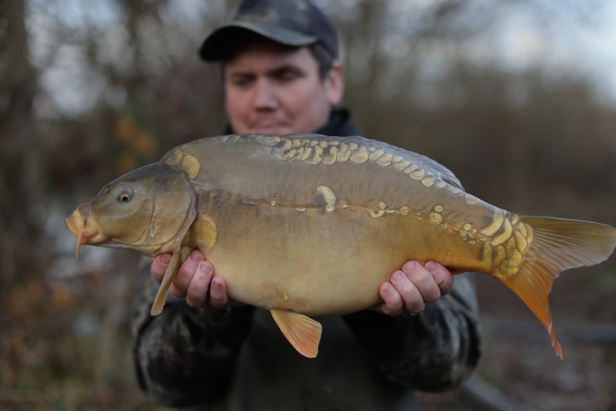 2025 - Fish 003 - 11lb 8oz