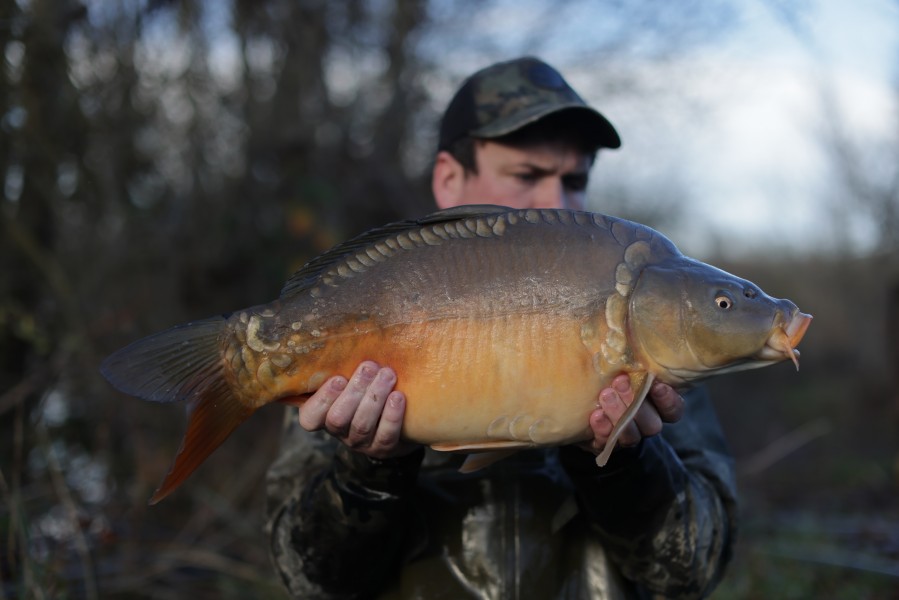 2025 - Fish 014 - 13lb