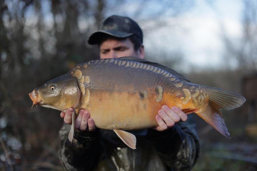 2025 - Fish 014 - 13lb