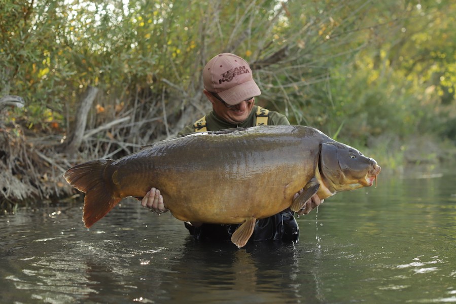 DF, 61lb 12oz, Alamo, 19.09.20