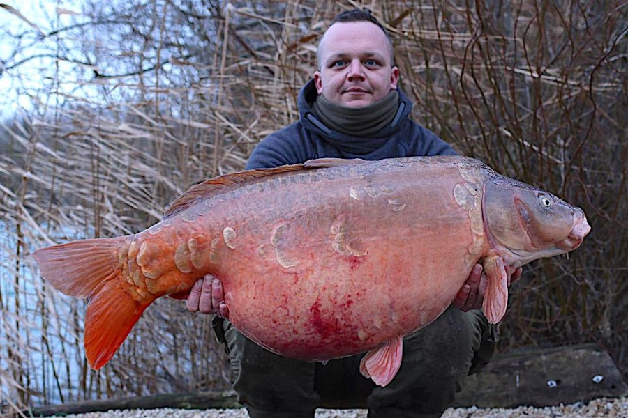 Stuart Young, 54lb, The Alamo, 12.1.19