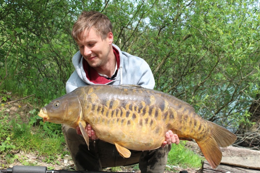 Little Plated 35.00lbs 26.04.14