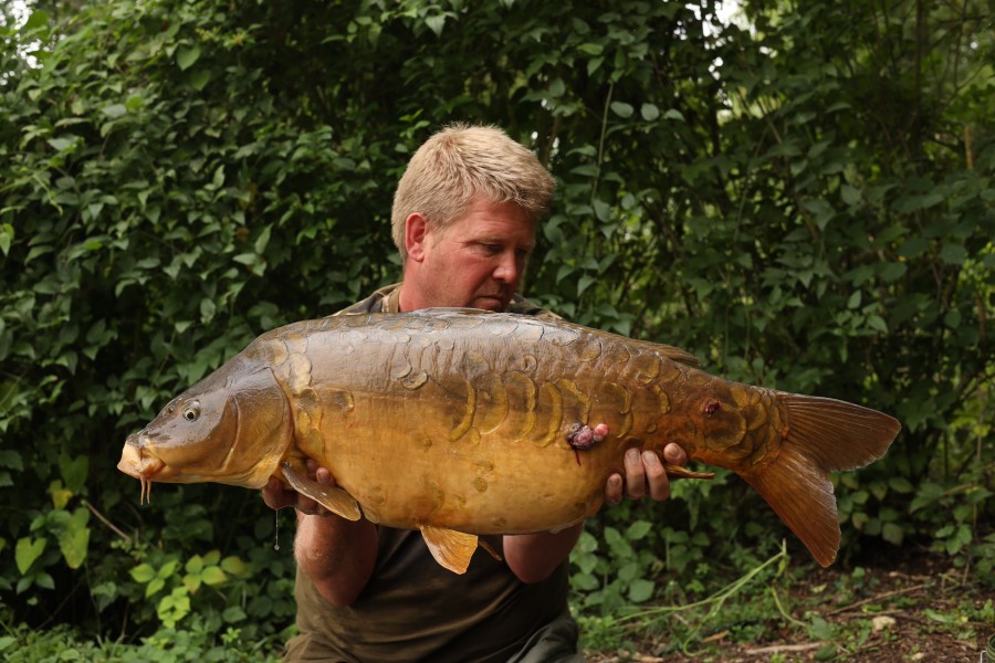 Paul Brooks - 31lb 10oz - Treeline - 06/07/2024