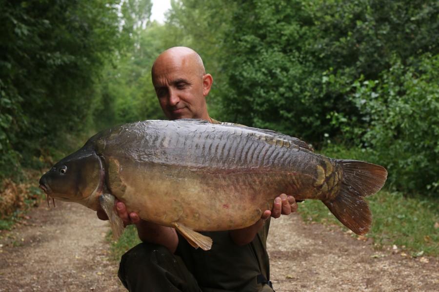 Chris Irving, 36lb 3oz, Bob's Beach, 15/07/2023