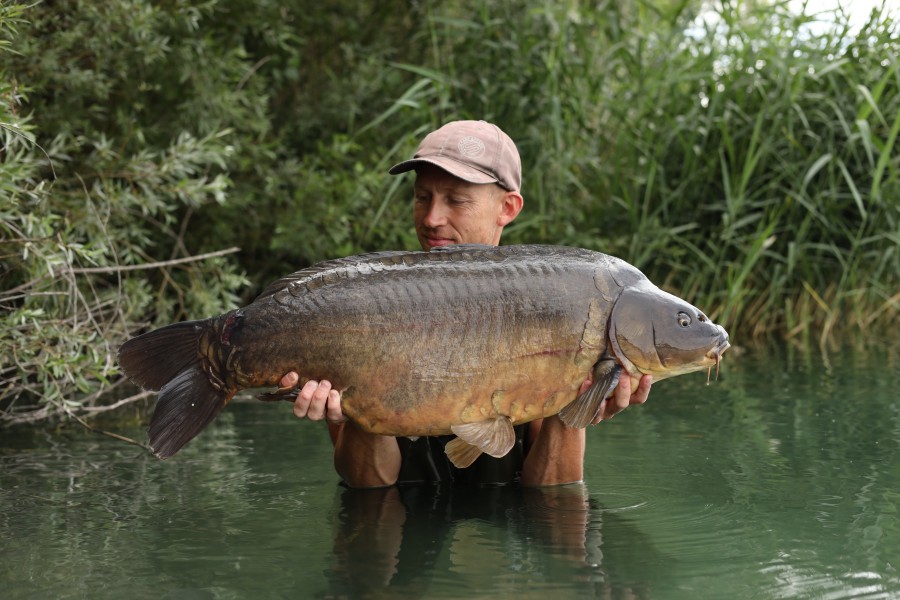 Ben Oaks - Alamo - 35lb 12oz - 20/07/2024