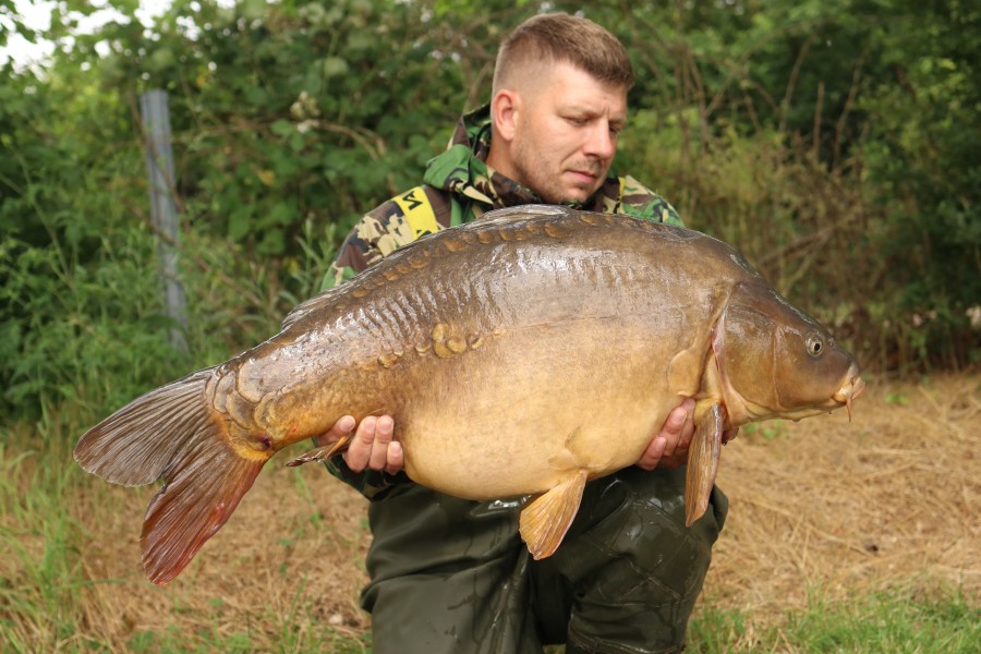 Aaron Metcalfe - Stink - 42lb - 29/06/2024