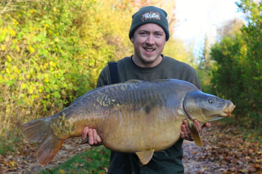 Broady's Mirror 41lb 8oz tree line 31.10.15