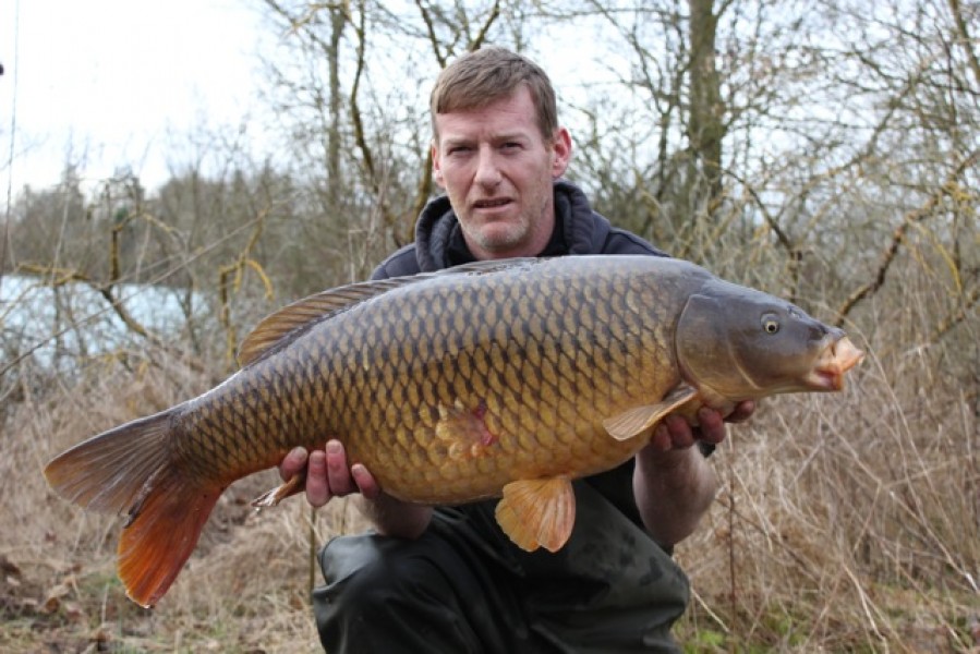 28lb Co's Febuary 2014