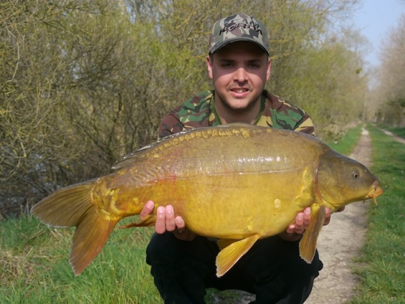 ..20.08lb