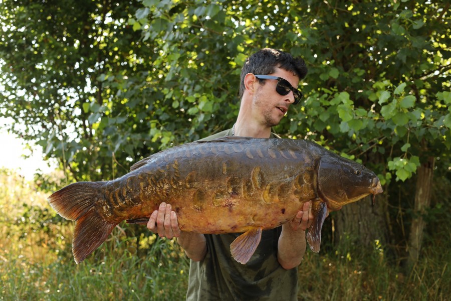 Tom Griffiths - 35lb - Big Girls - 06/07/2024