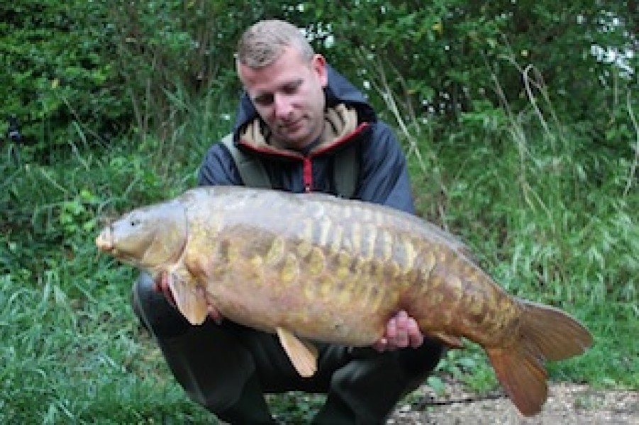 29.04lb Tree Line April 2014.