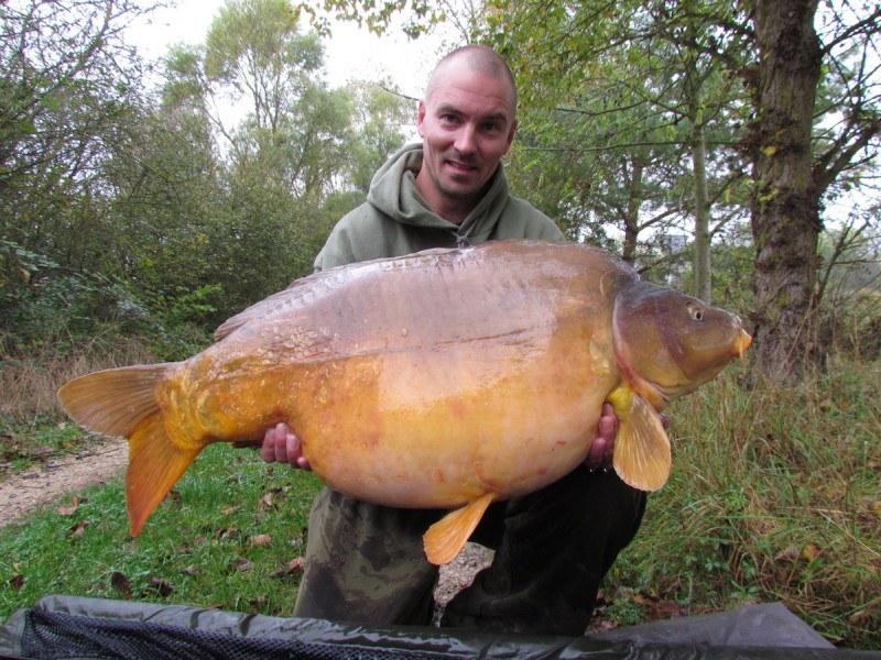 ginge at 48.00lbs