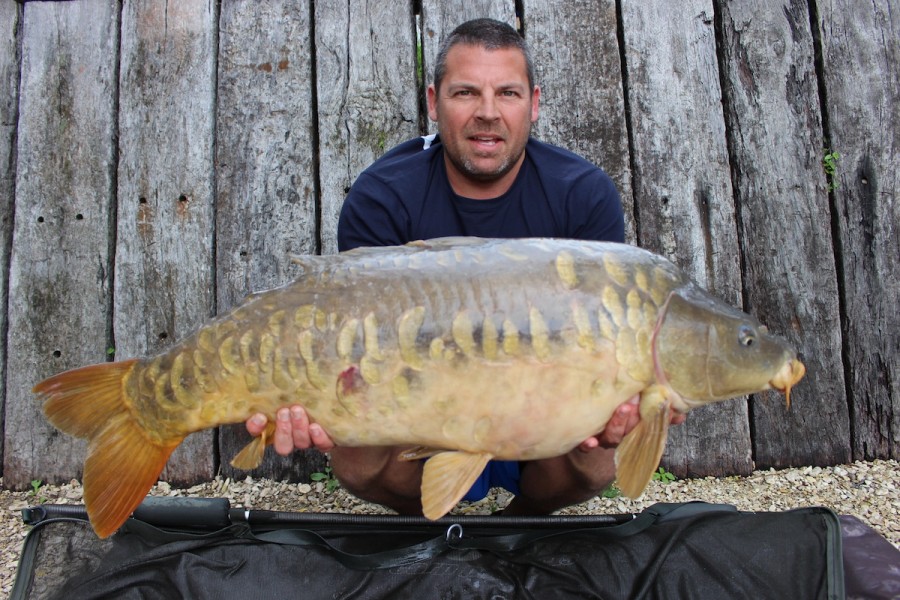 Chop Dorsal 32lb Alamo 5.7.14