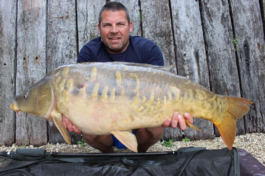 Chop Dorsal 32lb Alamo 5.7.14