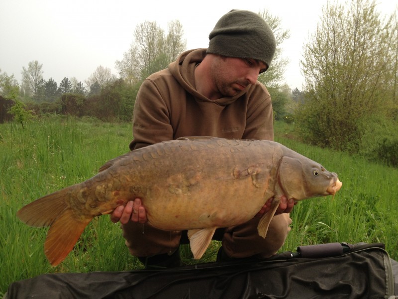 26lb April 2013