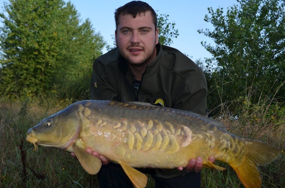 22lb August 2014