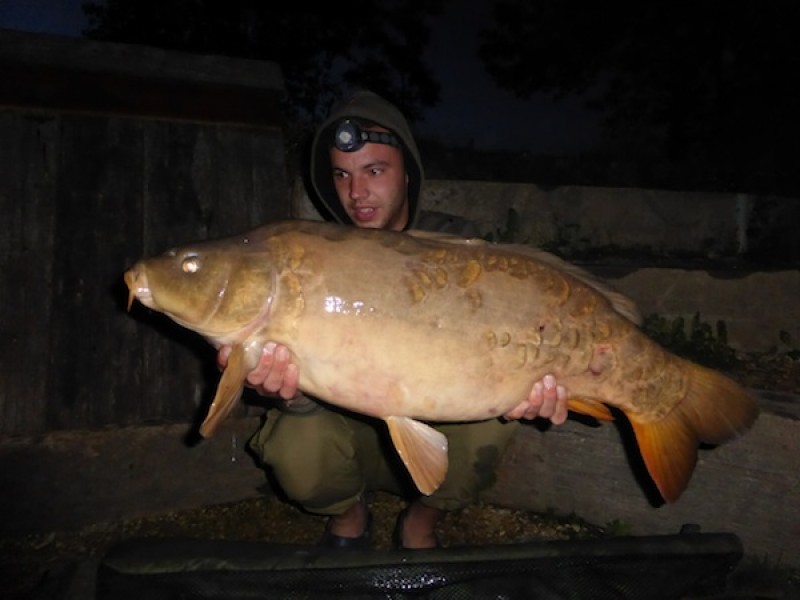 26.09lbs Alamo 16.05.15