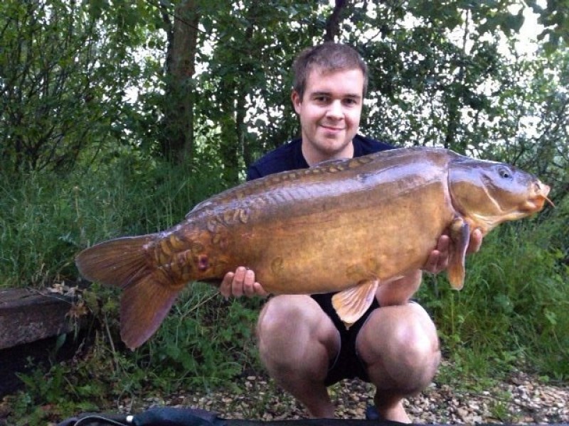 23.00lbs. Co's 31.05.14