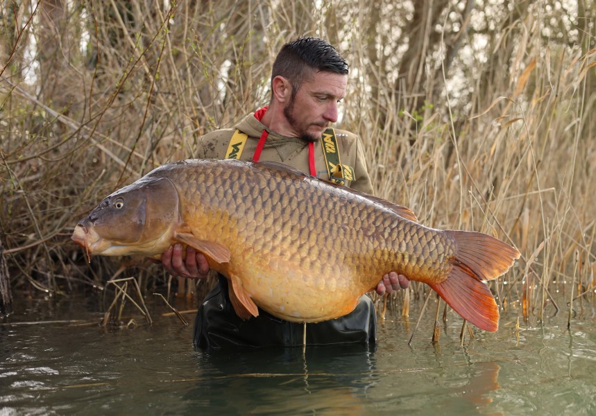 Ben Robinson - Stink - 59lb 8oz - 14/03/2026