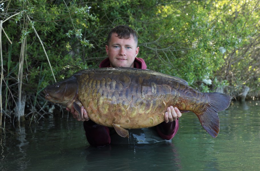 Aaron Fox - Alamo - 49lb 12oz - 25/04/2026