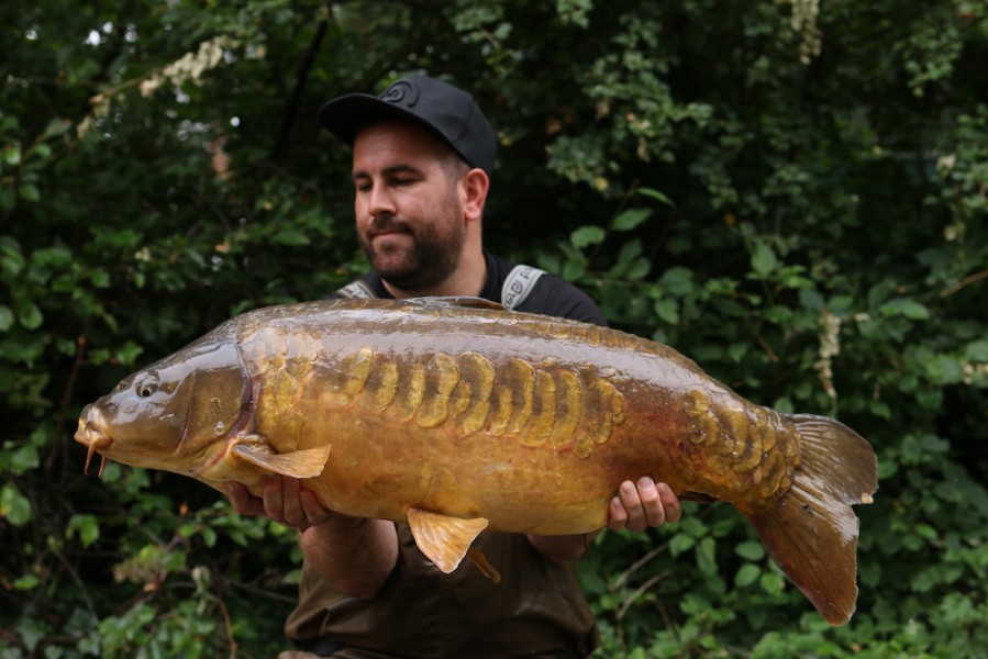 Lee Prodger - 31lb 12oz  - Bobs Beach - 29/07/2021