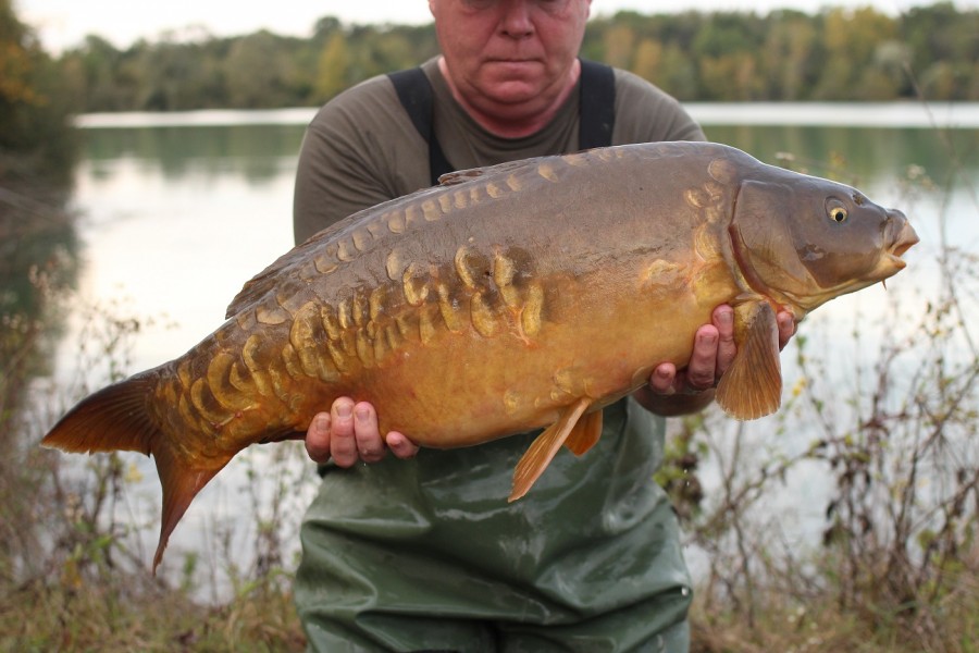 21lb October 2014