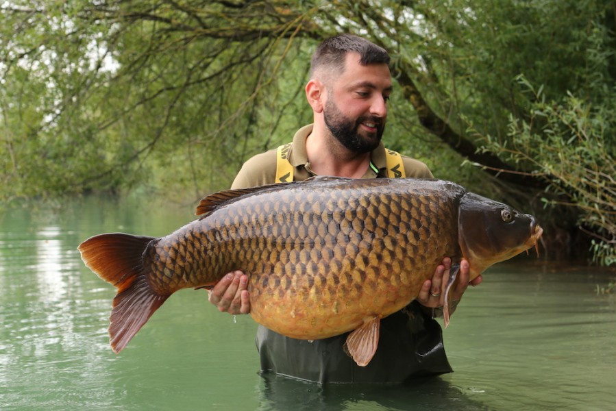 Radu Mitrea, 51lb 8oz, Bob's Beach, 11.09.2021