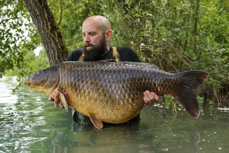 Scott Larman - 53lb 1oz - Treeline - 18/05/2024