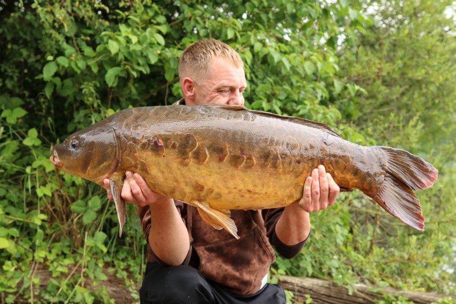 John Bentley - Co's - 36lb - 29/06/2024