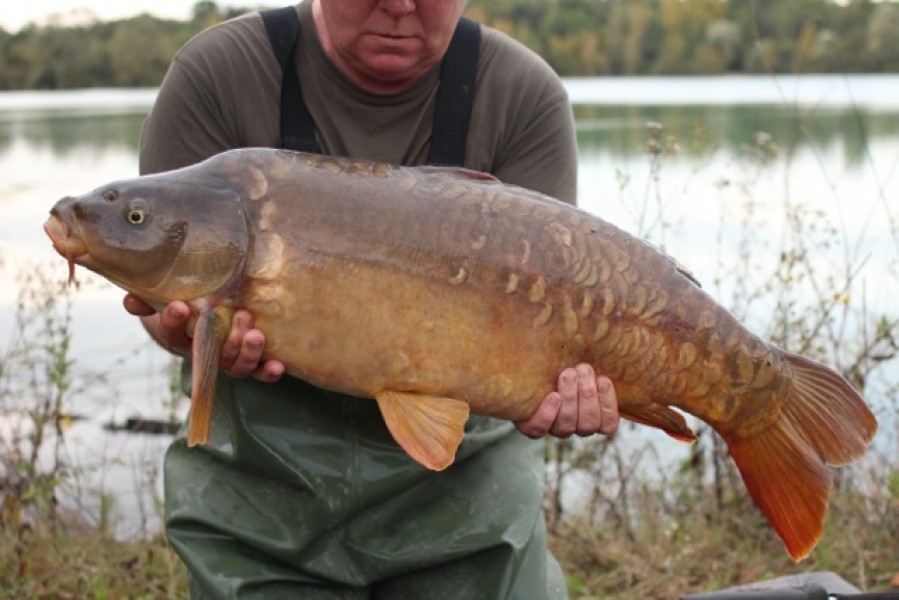 Stocked October 2014 @ 21lb