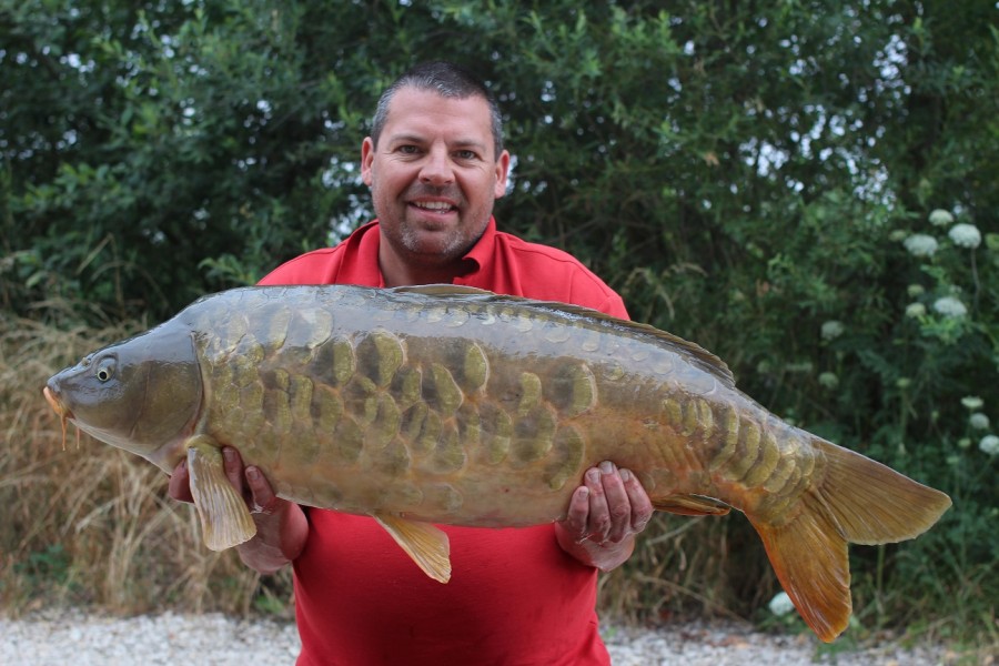 31lb July 2015